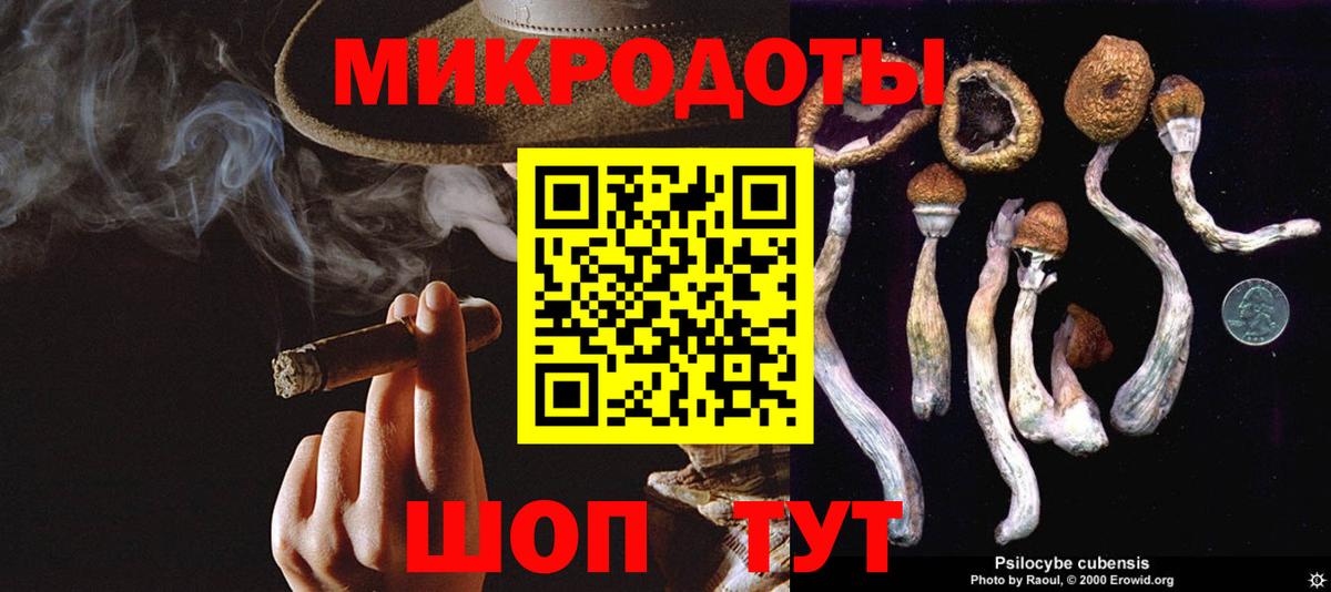 Псилоцибиновые грибы MAGIC MUSHROOMS Карталы